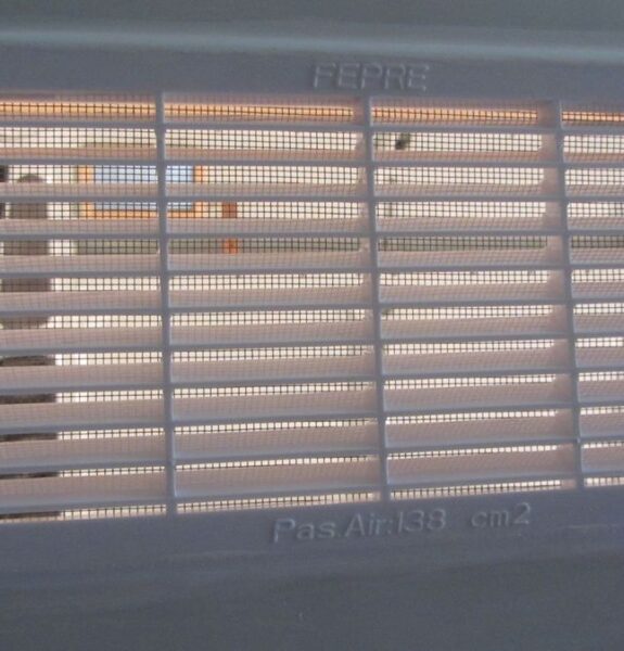 Image #1 à partir de Louis