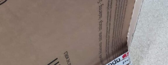 Image #1 à partir de david