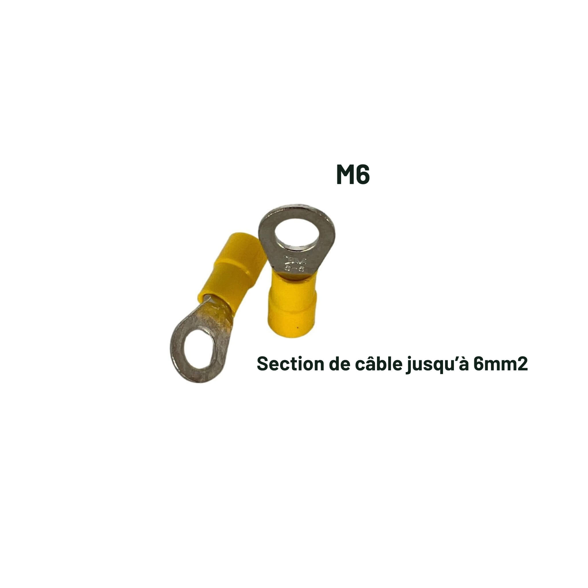 Cosse à œil / œillet M6 Jaune 4 à 6mm² 2 Cosse, œillet, M6,électricité,van,fourgon