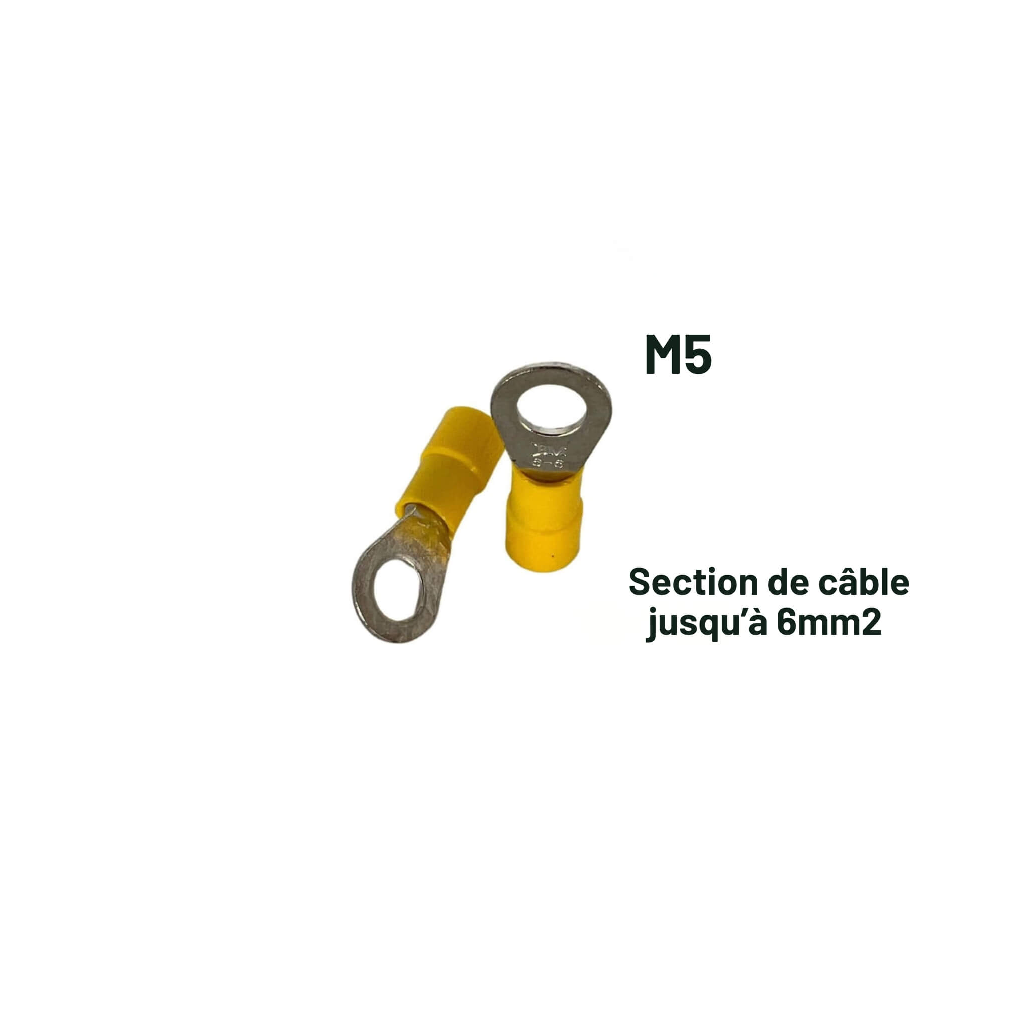 Cosse à œil / œillet M5 Jaune 4 à 6mm² 2 Cosse, œillet, M5, électricité, van, fourgon