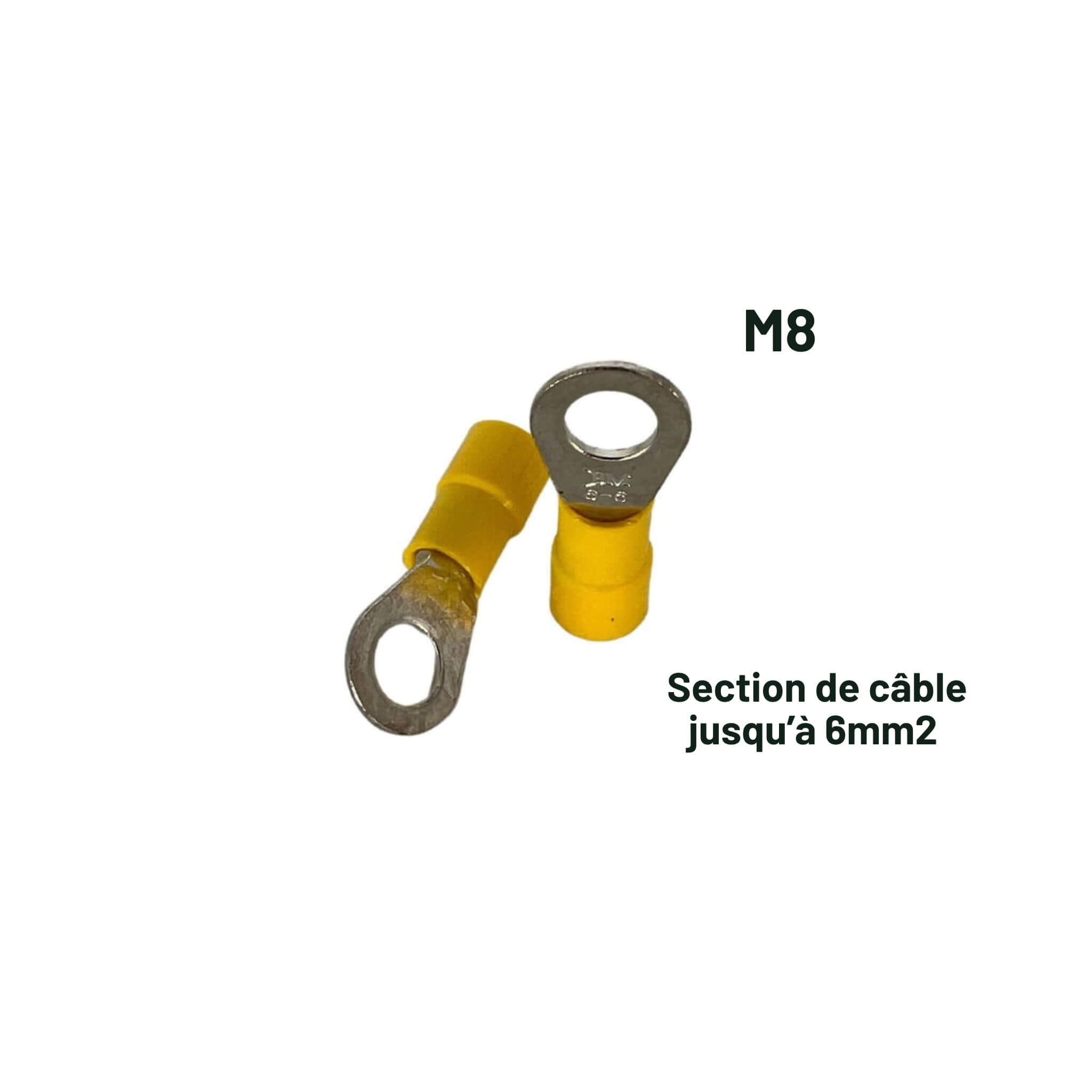 Cosse à œil / œillet M8 Jaune 4 à 6mm² 2 Cosse à Œillet, M8, électricité, van