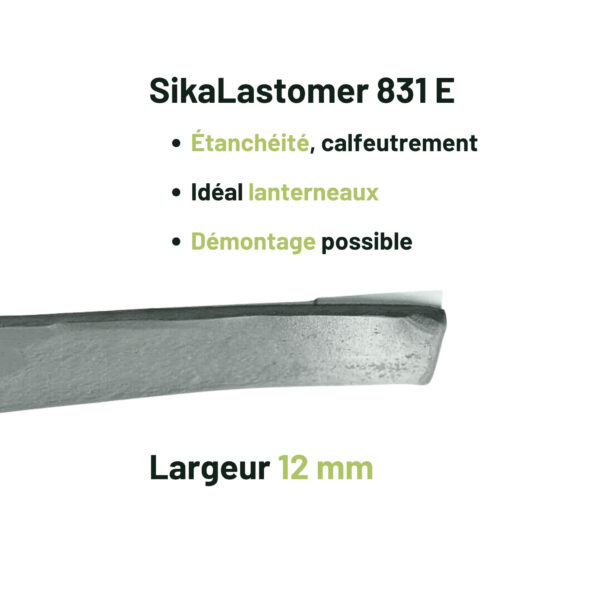Sikalastomer, 831E, 831 E