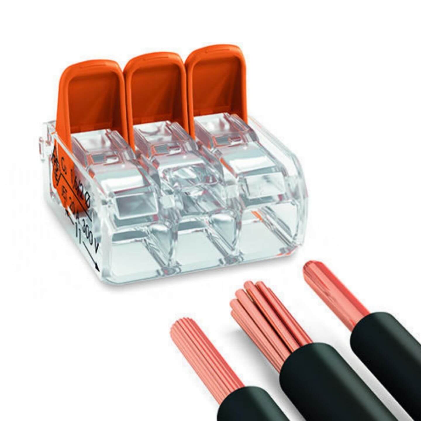 Branchement des cables sur borne de raccordement WAGO