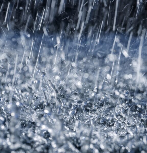 Image #1 à partir de louis