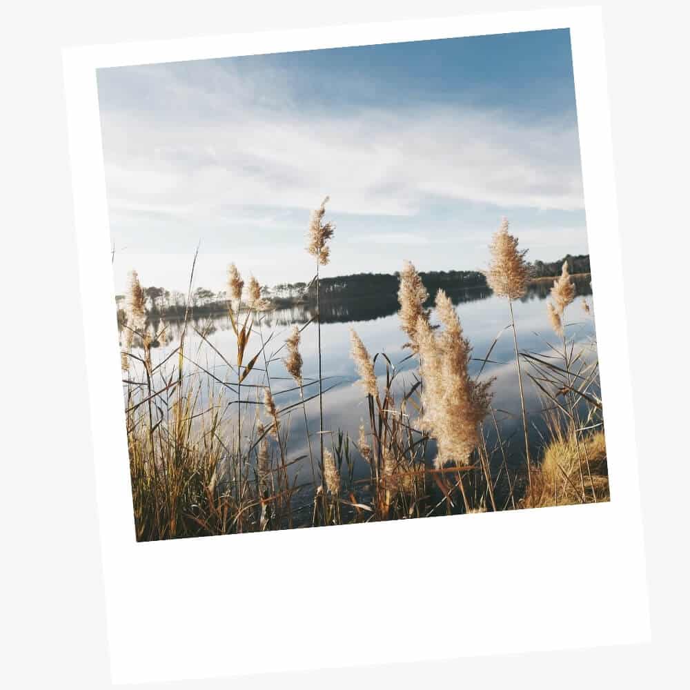 Week-end en van : 7 conseils pour se ressourcer 2 se ressourcer week end van