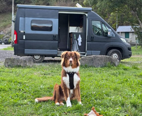 Atlas, chien devant le van aménagé