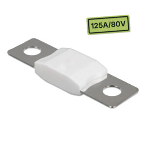 Protection électrique 125A 80V Victron Energy pour installation électrique