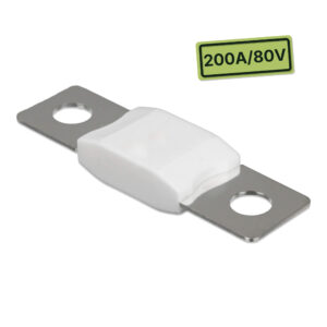 Protection électrique 200A 80V Victron Energy pour installation électrique