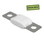 Protection électrique 250A 80V Victron Energy pour installation électrique