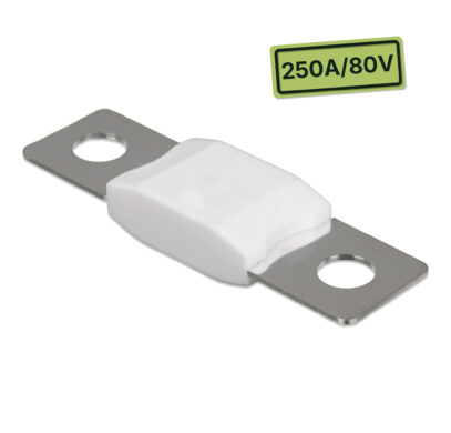 Protection électrique 250A 80V Victron Energy pour installation électrique