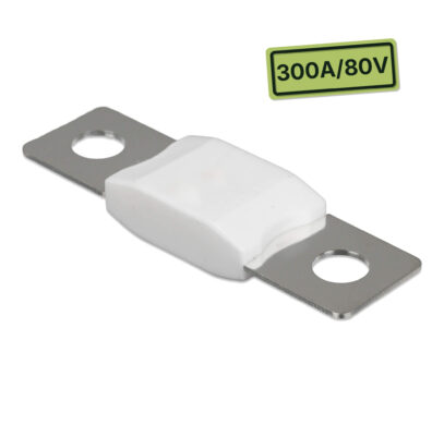 Protection électrique 300A 80V Victron Energy pour installation électrique