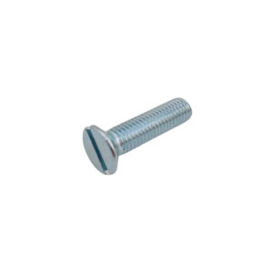 Vis M10 x 40mm Acier (x10)