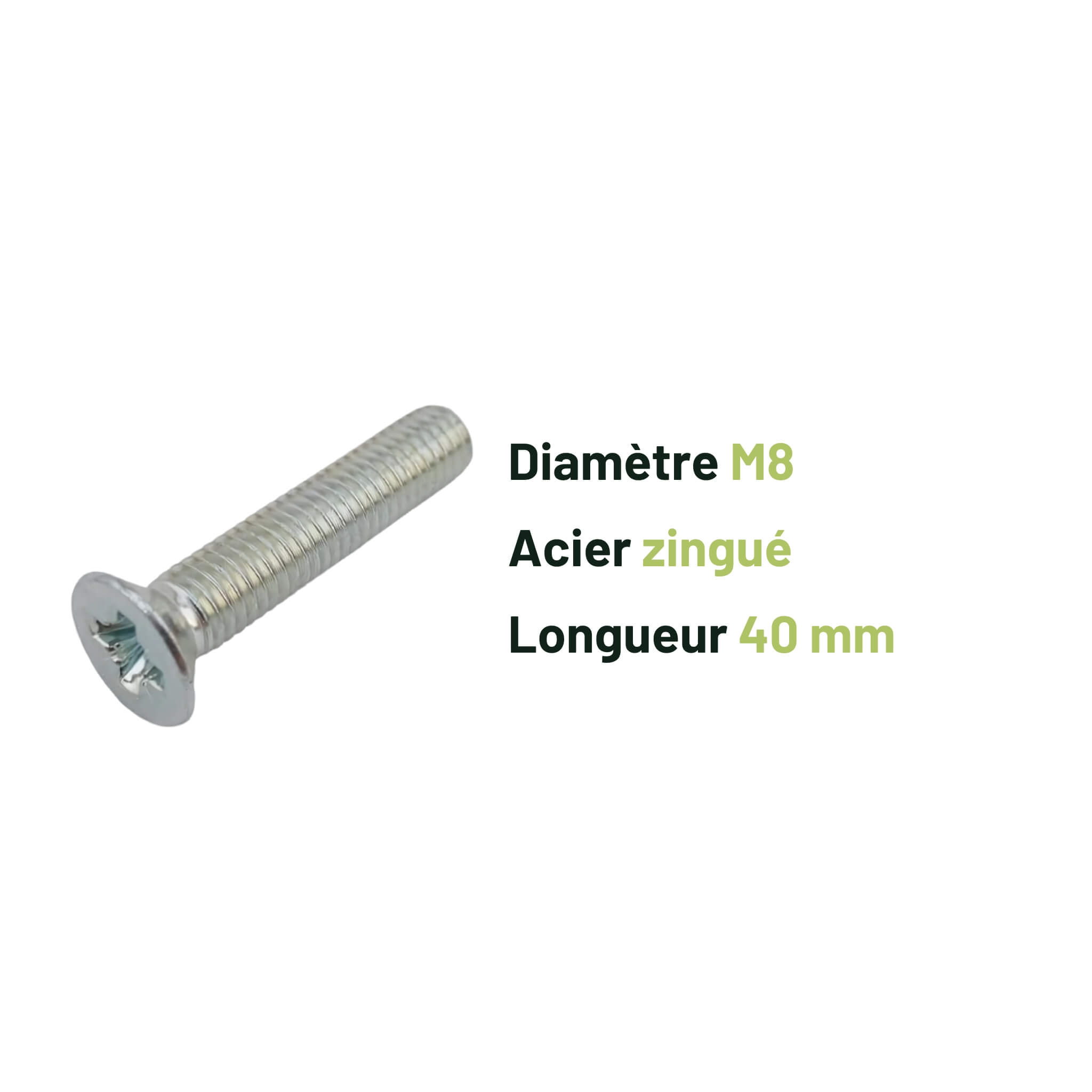 Vis M8 x 40mm Acier (x10) 2 Vis m8