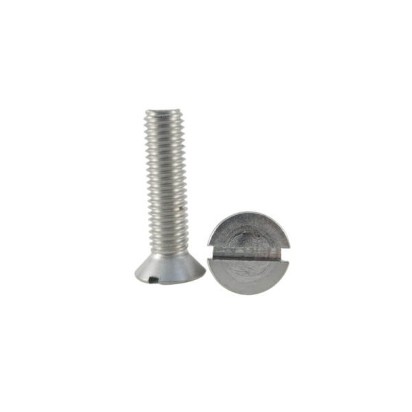 Vis M10 inox