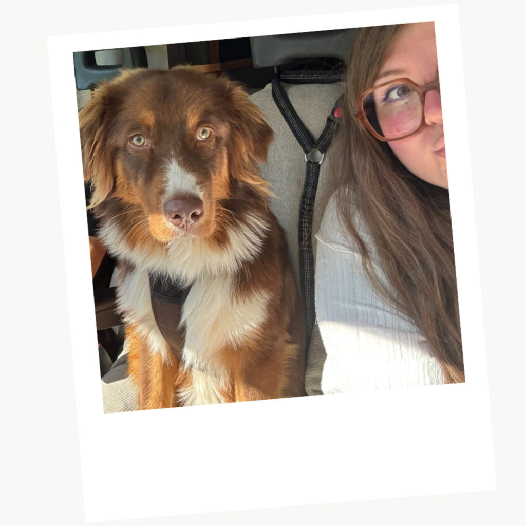 Voyager en van avec son chien : sur les routes avec Cloé et Atlas 5 voyage van amenage chien